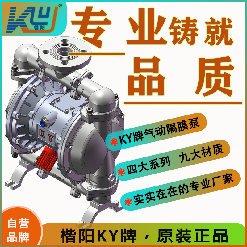 KYQ32L6不銹鋼氣動隔膜泵4