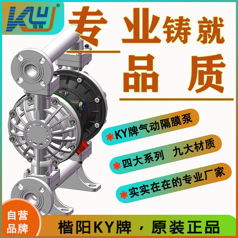 KYQB32LS塑料氣動(dòng)隔膜泵4