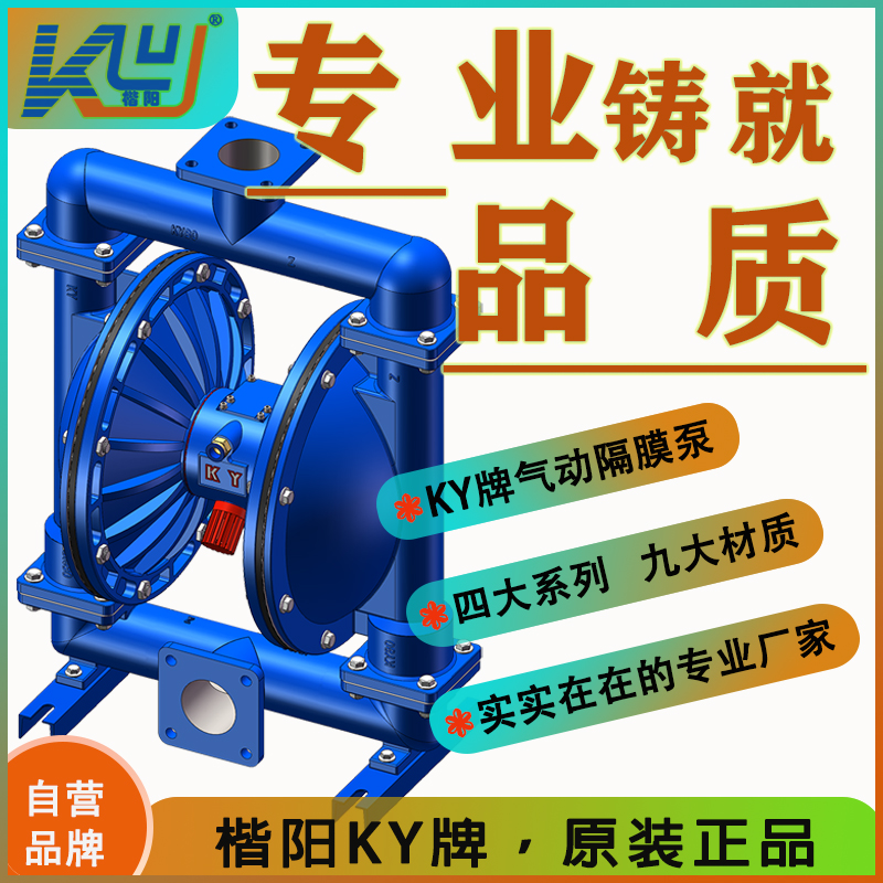 KYQ80LZ鑄鋼氣動隔膜泵4