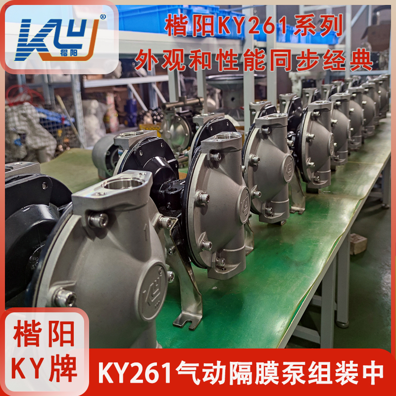 KY-80L4不銹鋼氣動雙隔膜泵7